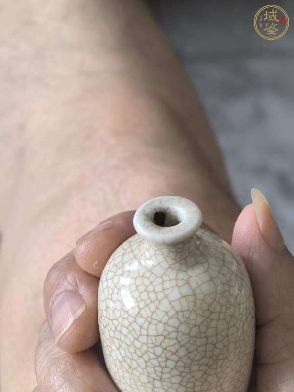 古玩陶瓷哥釉鼻煙壺真品鑒賞圖