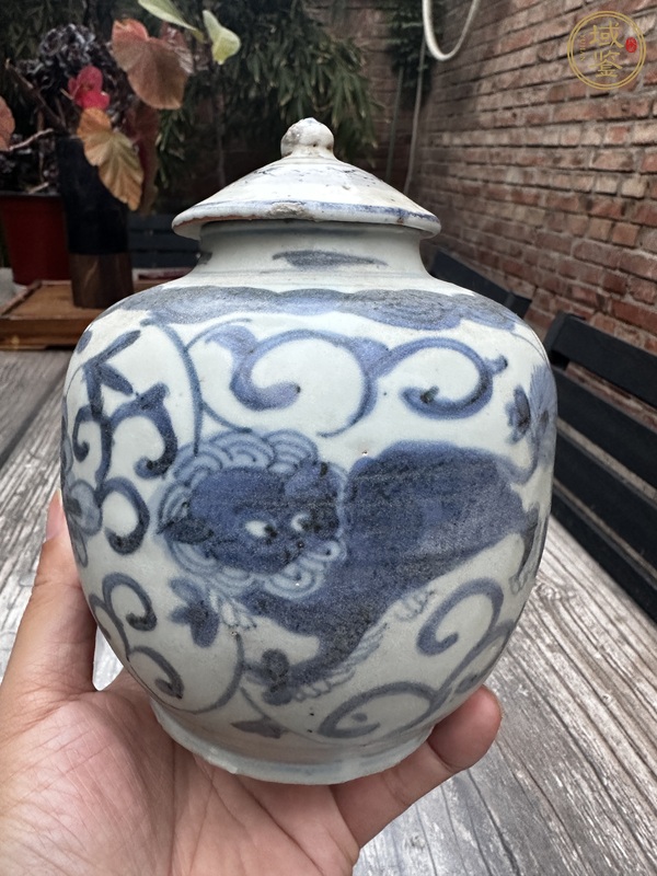 古玩陶瓷花間獅子紋青花蓋罐真品鑒賞圖