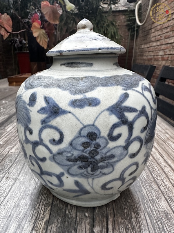 古玩陶瓷花間獅子紋青花蓋罐真品鑒賞圖