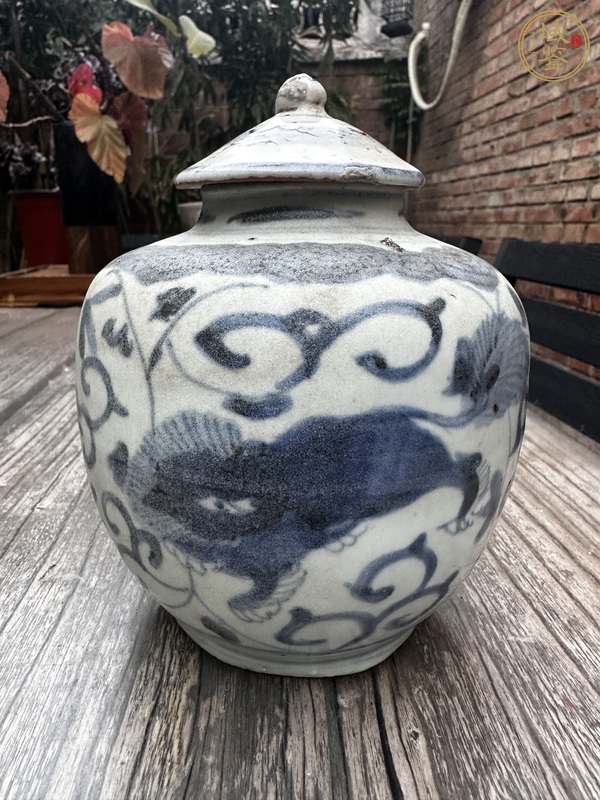 古玩陶瓷花間獅子紋青花蓋罐真品鑒賞圖