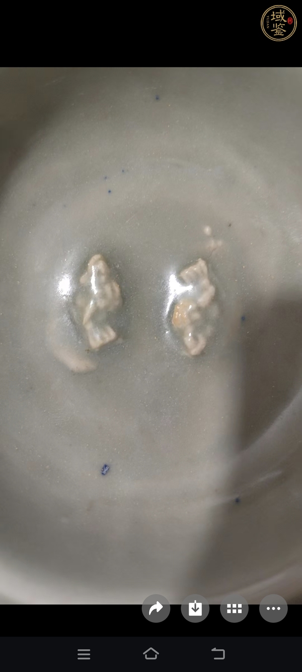 古玩龍泉青釉雙魚洗真品鑒賞圖
