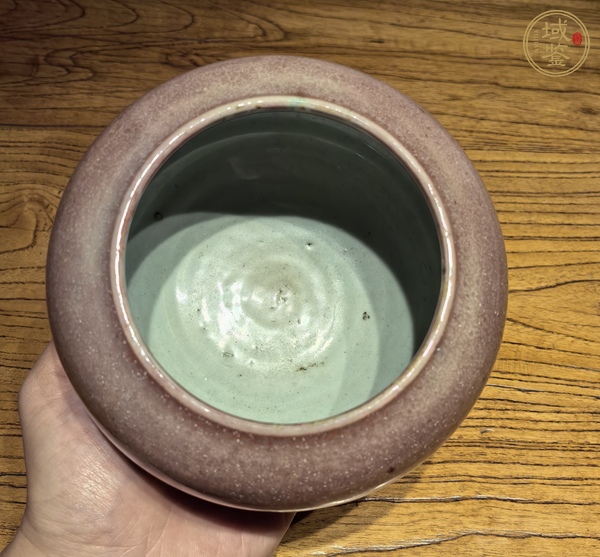 古玩陶瓷豇豆紅釉水呈真品鑒賞圖
