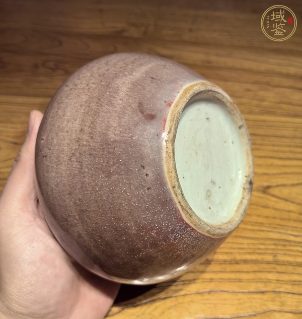 古玩陶瓷豇豆紅釉水呈真品鑒賞圖