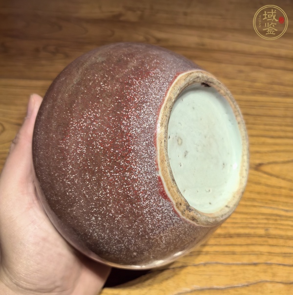 古玩陶瓷豇豆紅釉水呈真品鑒賞圖