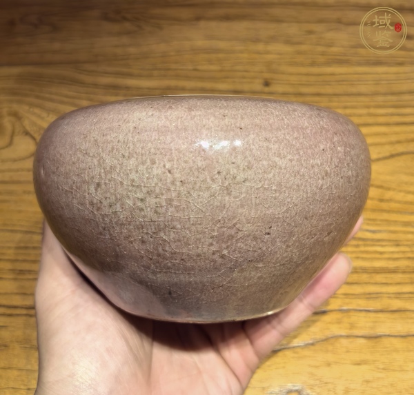 古玩陶瓷豇豆紅釉水呈真品鑒賞圖
