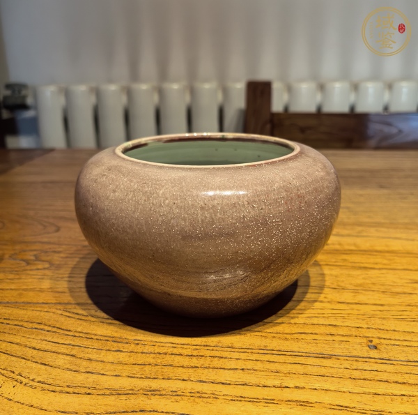 古玩陶瓷豇豆紅釉水呈真品鑒賞圖