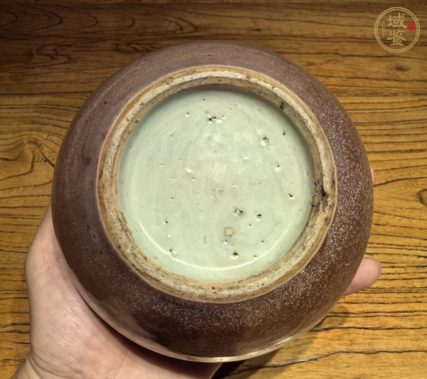 古玩陶瓷豇豆紅釉水呈真品鑒賞圖