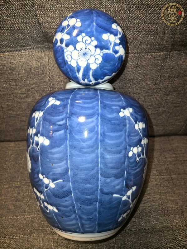 古玩陶瓷青花冰梅圖蓋罐真品鑒賞圖