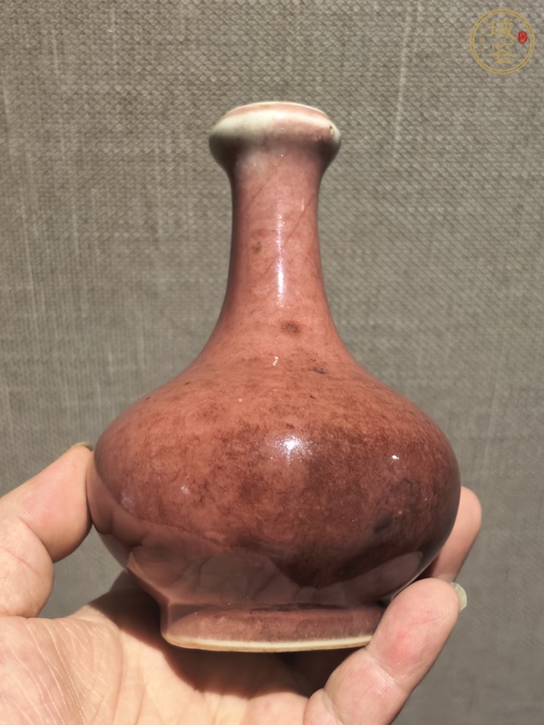 古玩陶瓷紅釉蒜頭瓶真品鑒賞圖