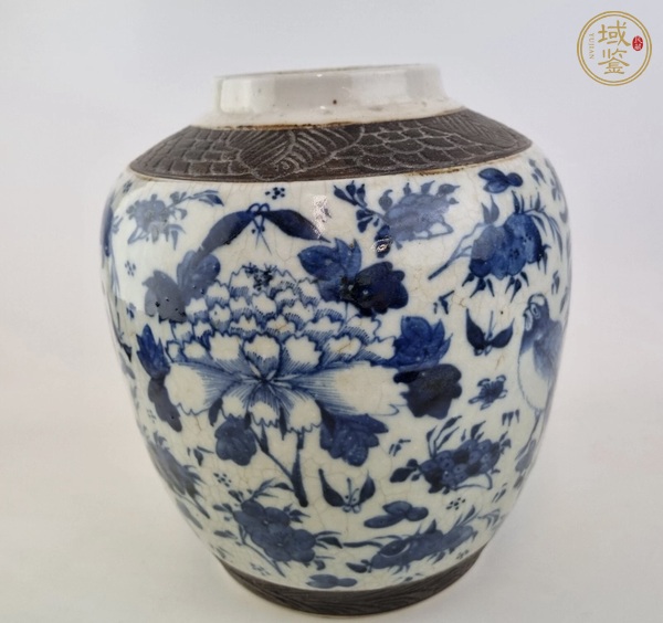 古玩陶瓷清晚期 青花花鳥紋罐真品鑒賞圖