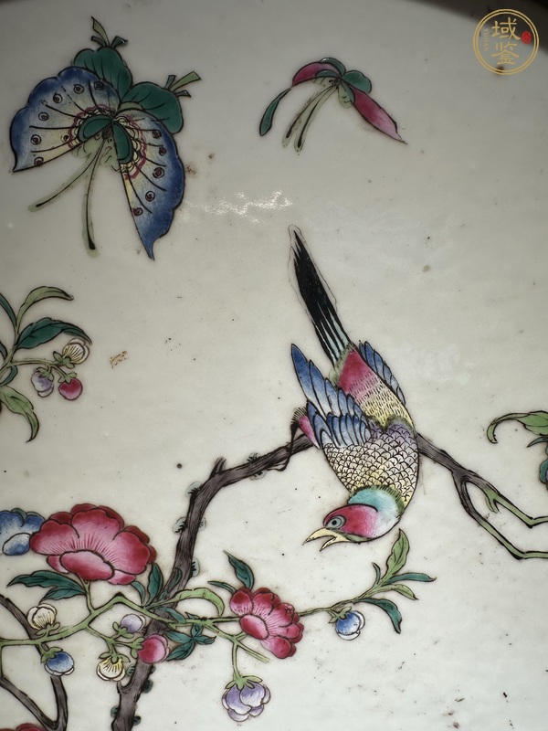 古玩陶瓷粉彩花鳥紋瓷板真品鑒賞圖