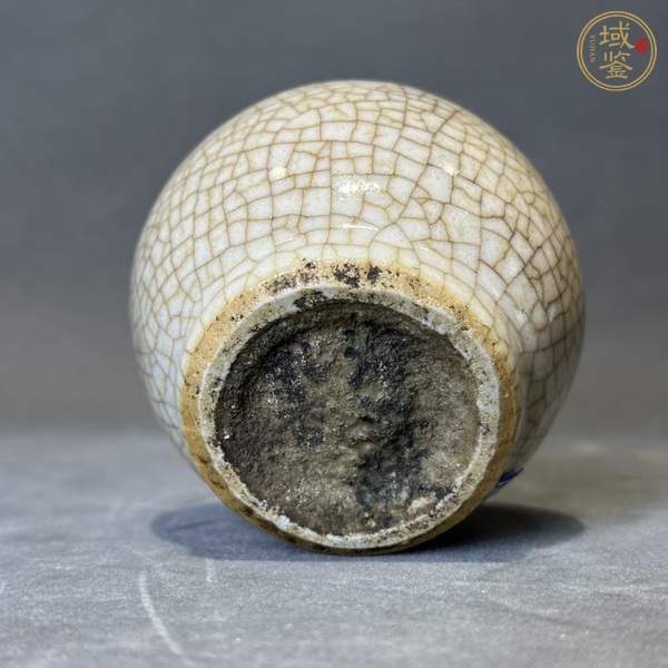古玩陶瓷哥釉石榴罐真品鑒賞圖