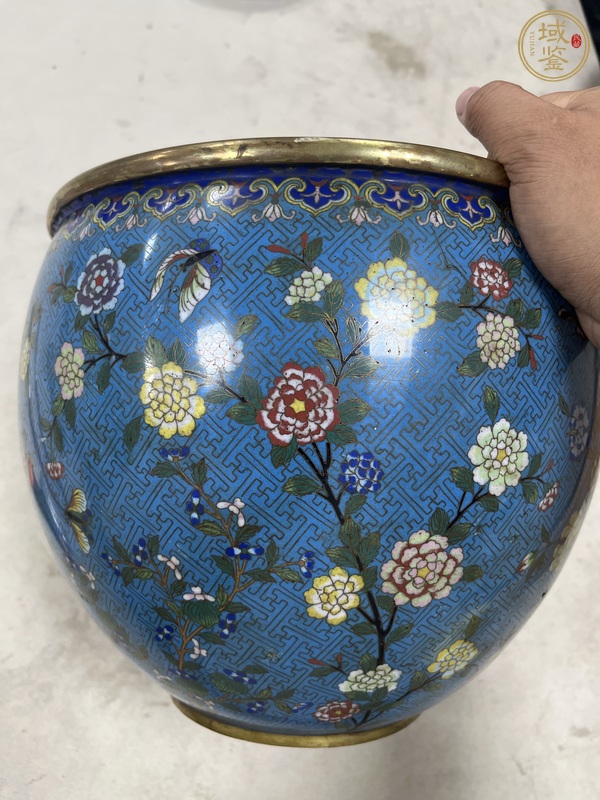古玩陶瓷銅胎掐絲琺瑯花卉紋案缸真品鑒賞圖