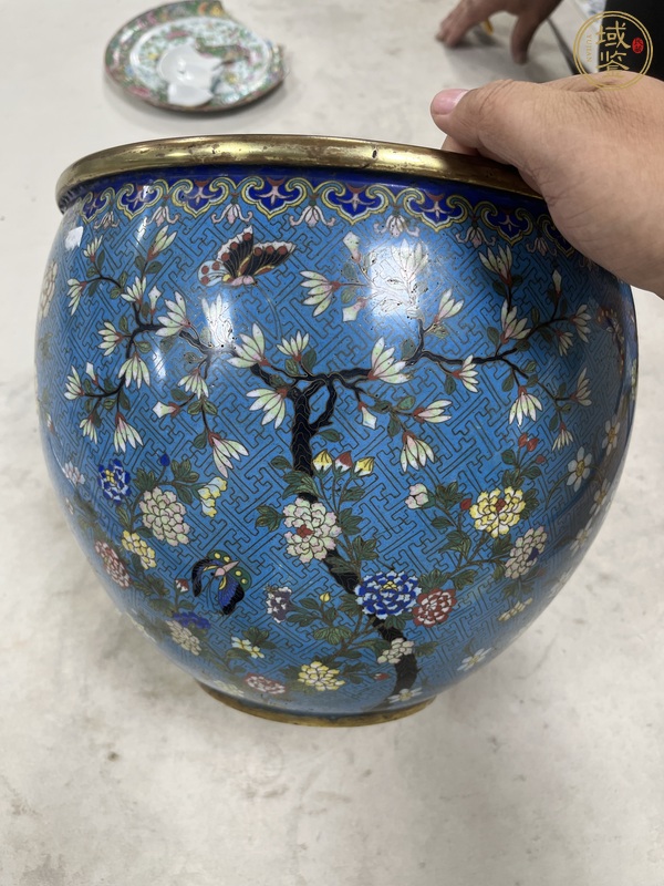 古玩陶瓷銅胎掐絲琺瑯花卉紋案缸真品鑒賞圖