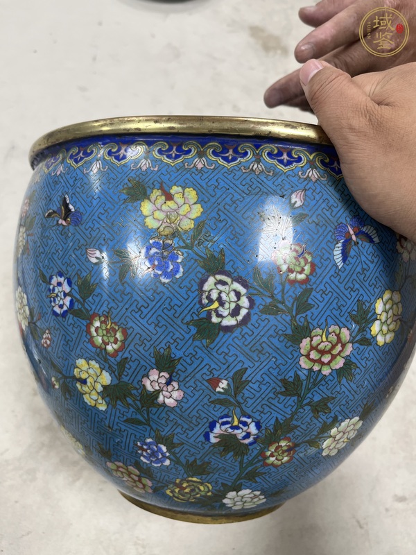 古玩陶瓷銅胎掐絲琺瑯花卉紋案缸真品鑒賞圖