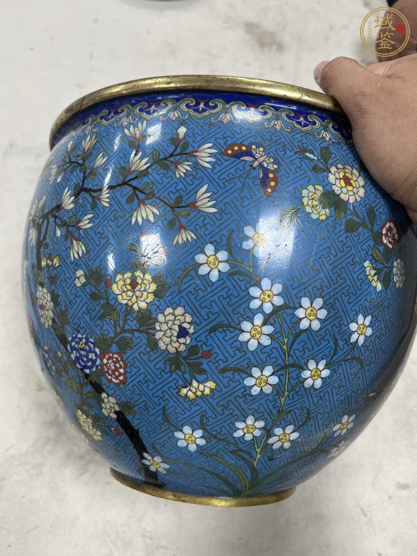 古玩陶瓷銅胎掐絲琺瑯花卉紋案缸真品鑒賞圖