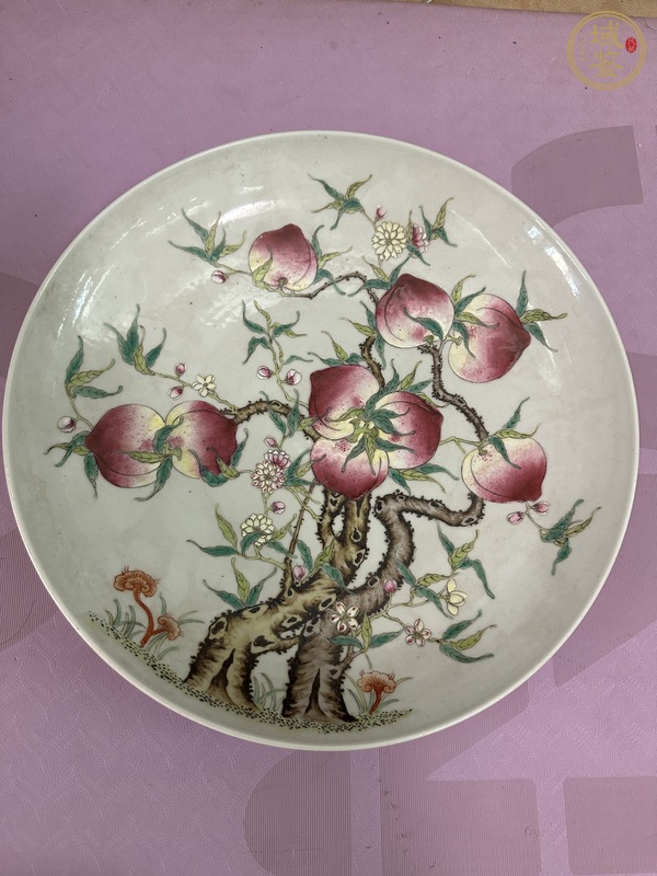 古玩粉彩盤真品鑒賞圖