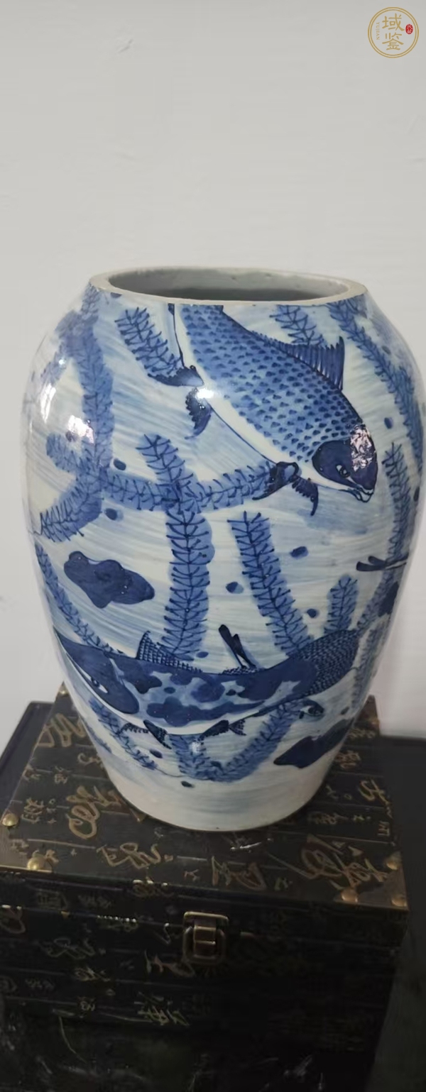 古玩陶瓷青花魚藻紋截口瓶真品鑒賞圖