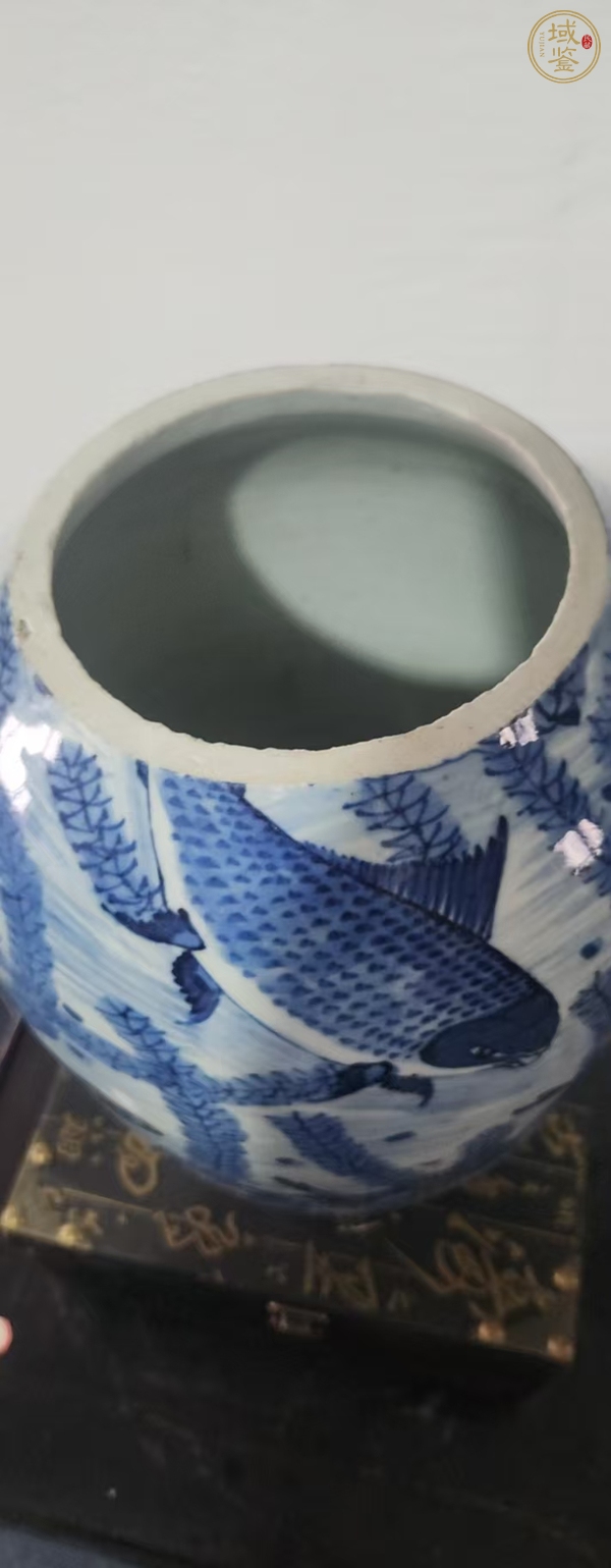 古玩陶瓷青花魚藻紋截口瓶真品鑒賞圖