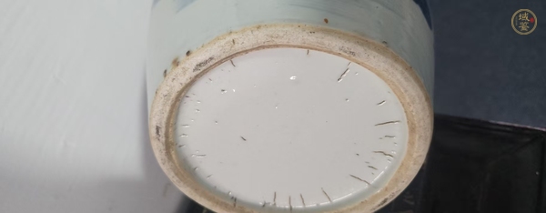 古玩陶瓷青花魚藻紋截口瓶真品鑒賞圖