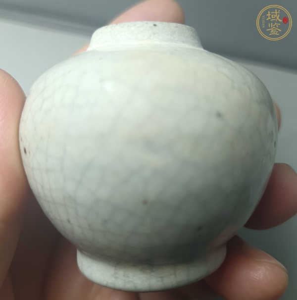 古玩陶瓷哥釉水盂真品鑒賞圖