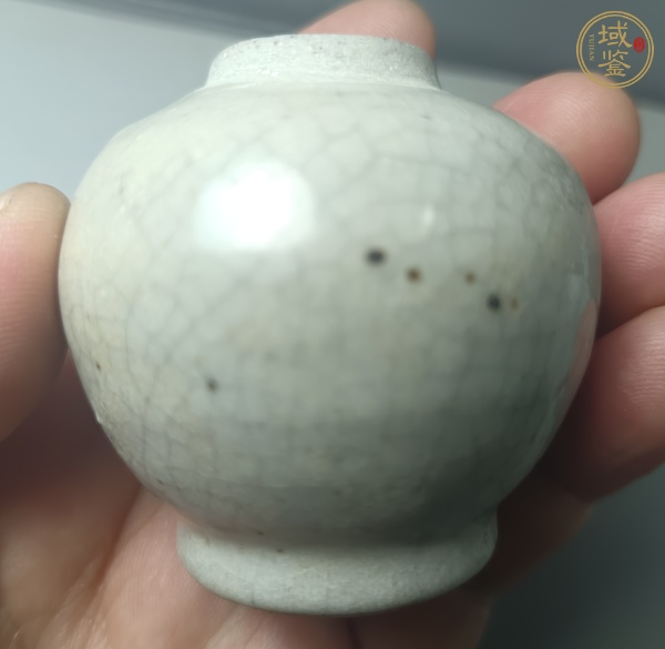 古玩陶瓷哥釉水盂真品鑒賞圖