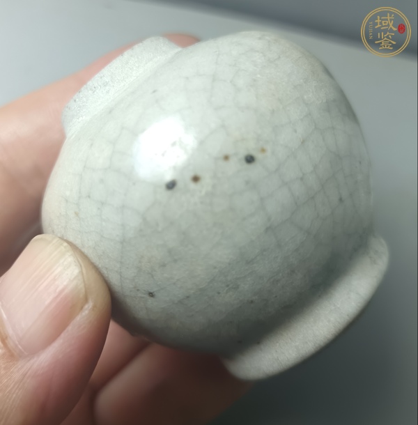 古玩陶瓷哥釉水盂真品鑒賞圖