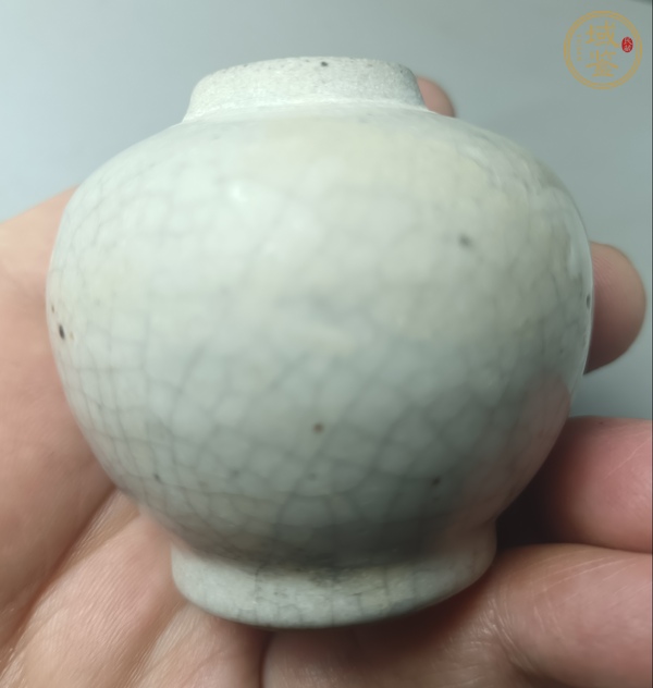 古玩陶瓷哥釉水盂真品鑒賞圖