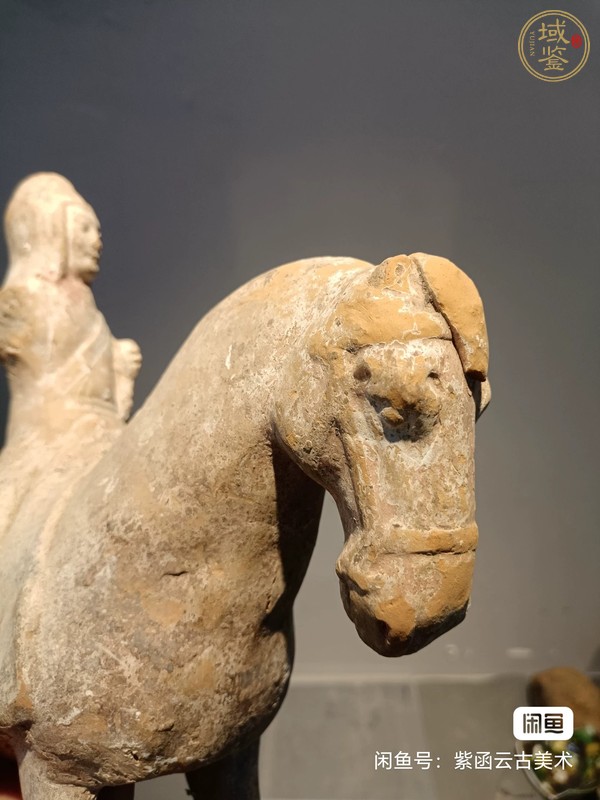 古玩陶瓷人騎真品鑒賞圖