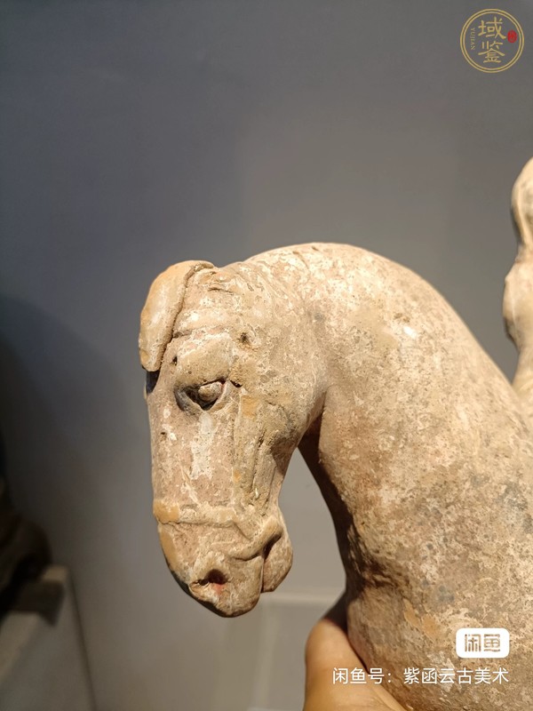 古玩陶瓷人騎真品鑒賞圖