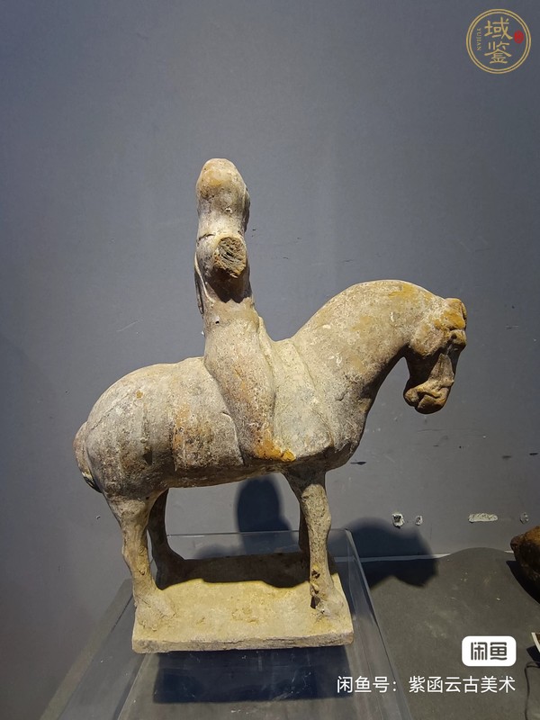 古玩陶瓷人騎真品鑒賞圖