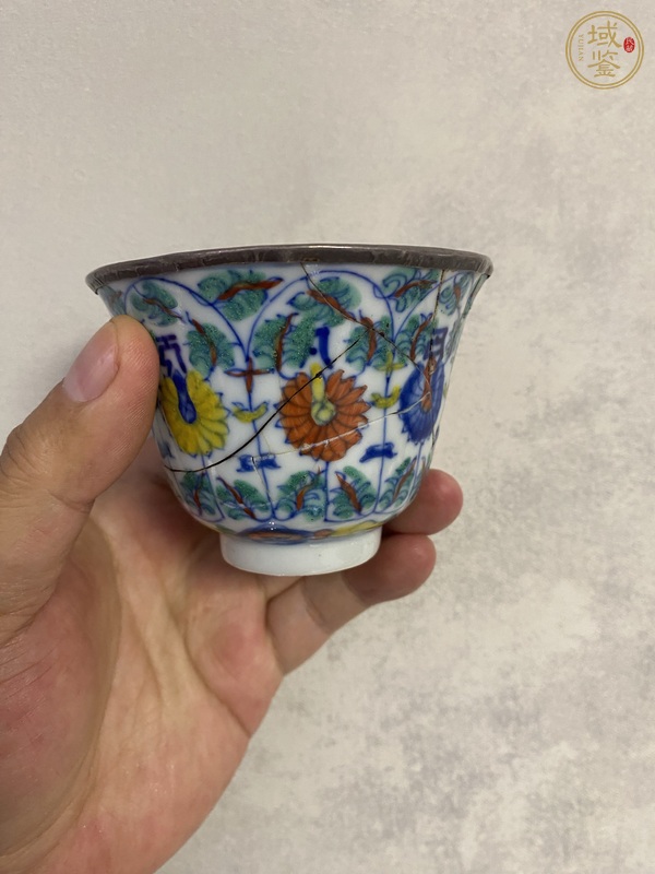 古玩斗彩杯真品鑒賞圖