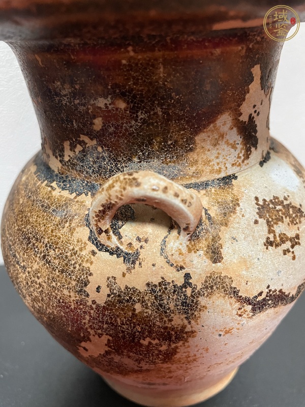 古玩陶瓷醬色釉雙系盤口壺真品鑒賞圖