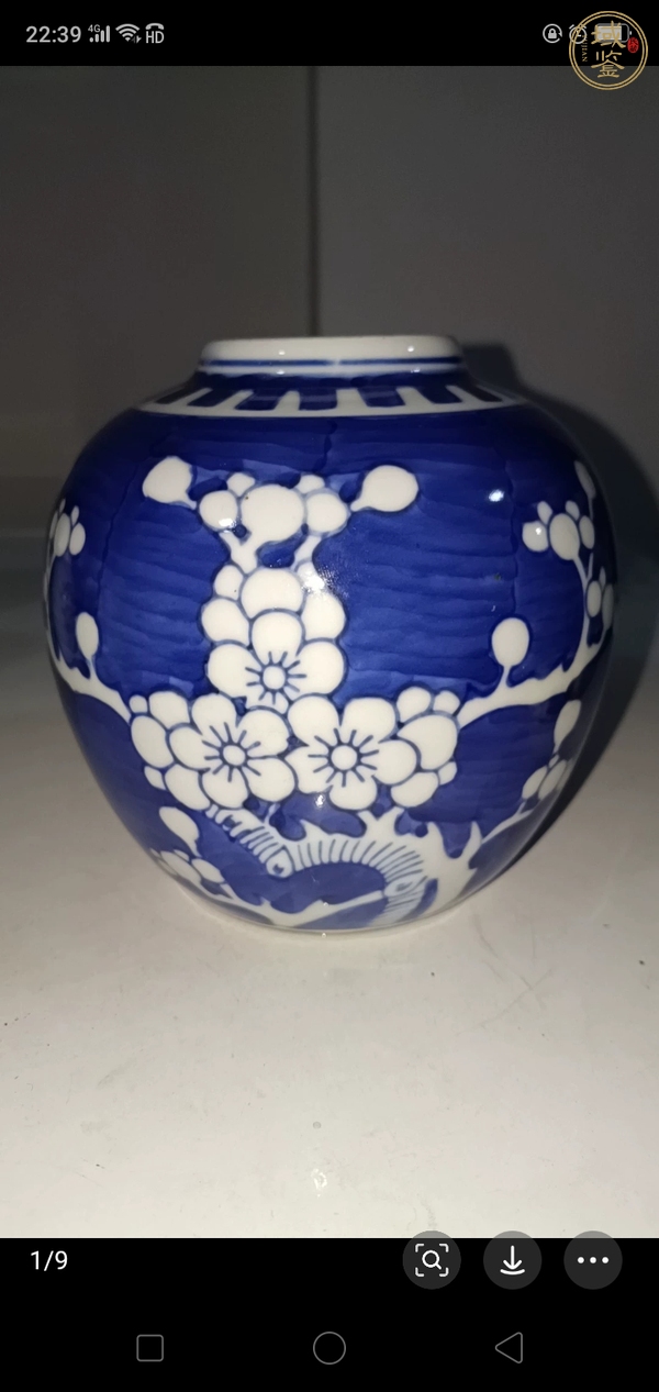 古玩陶瓷青花冰梅紋罐真品鑒賞圖