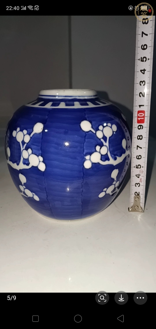 古玩陶瓷青花冰梅紋罐真品鑒賞圖