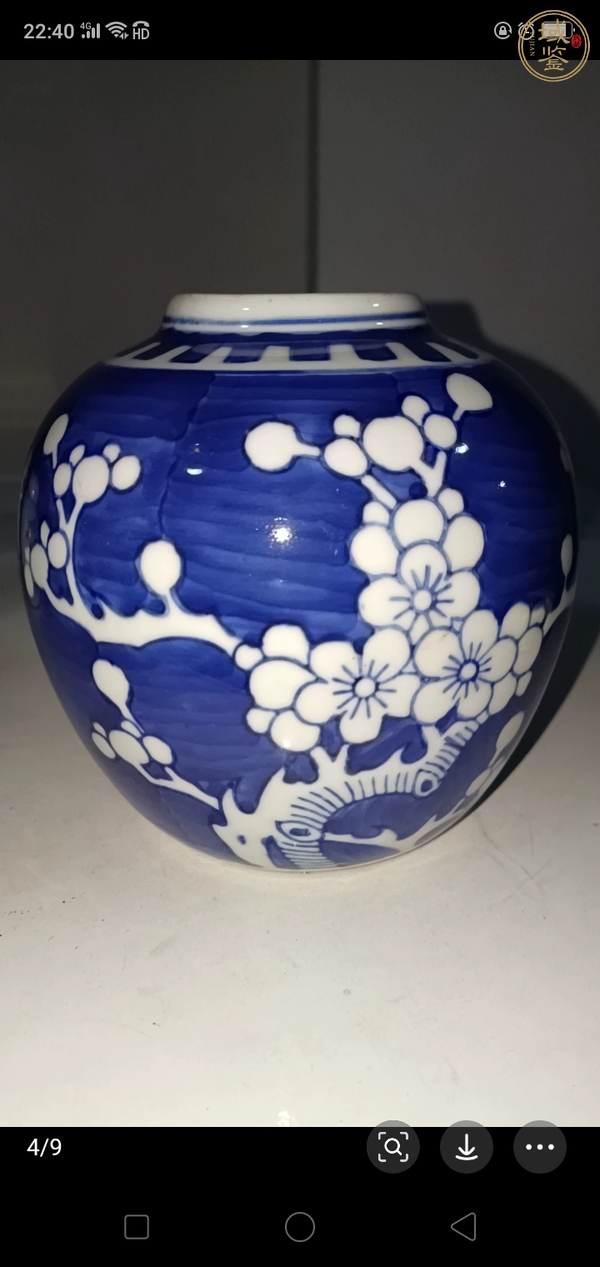 古玩青花冰梅紋罐真品鑒賞圖