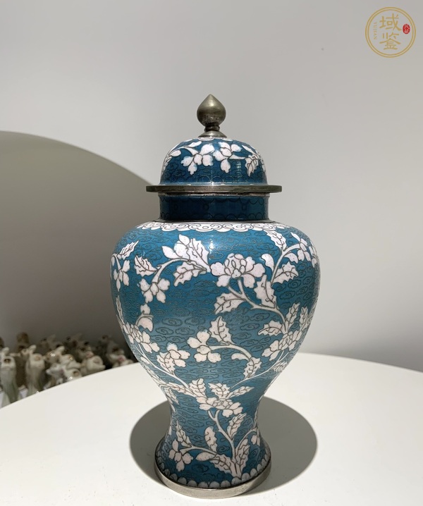 古玩罐真品鑒賞圖