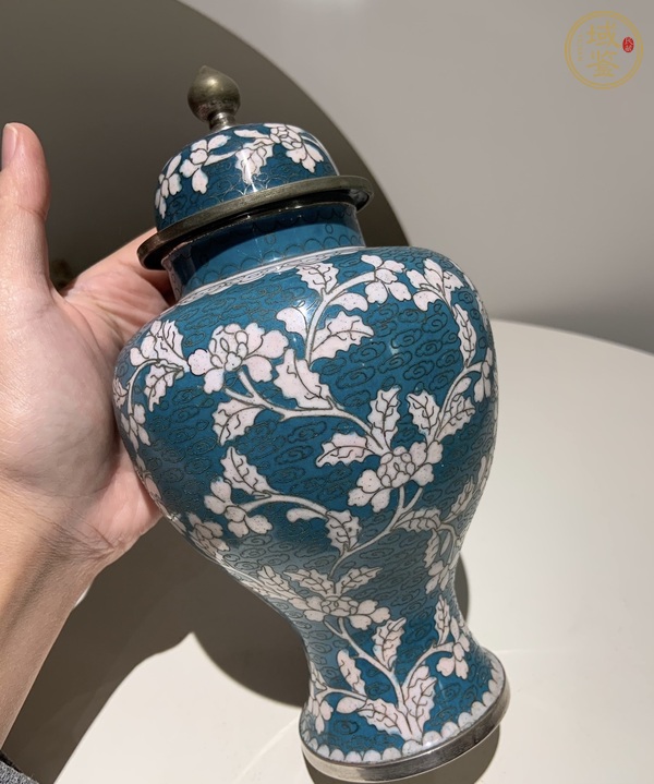 古玩雜項罐真品鑒賞圖