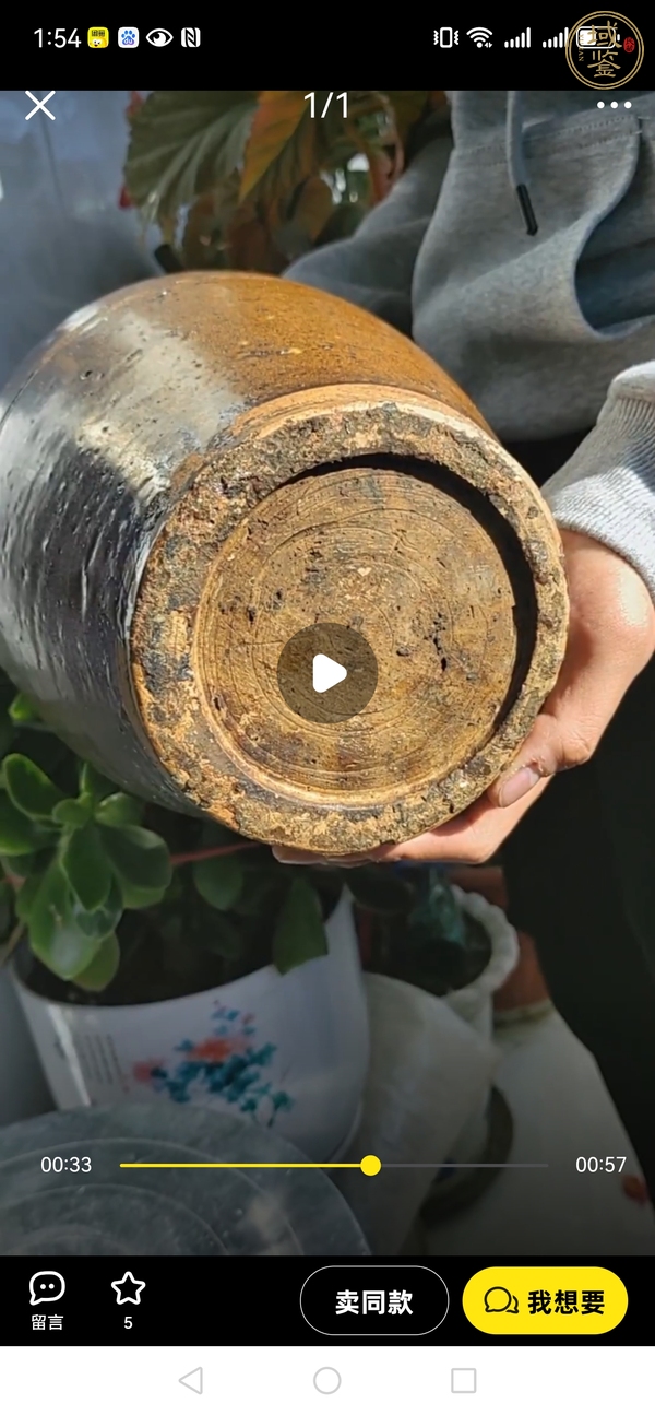 古玩陶瓷褐釉刻水波紋梅瓶真品鑒賞圖