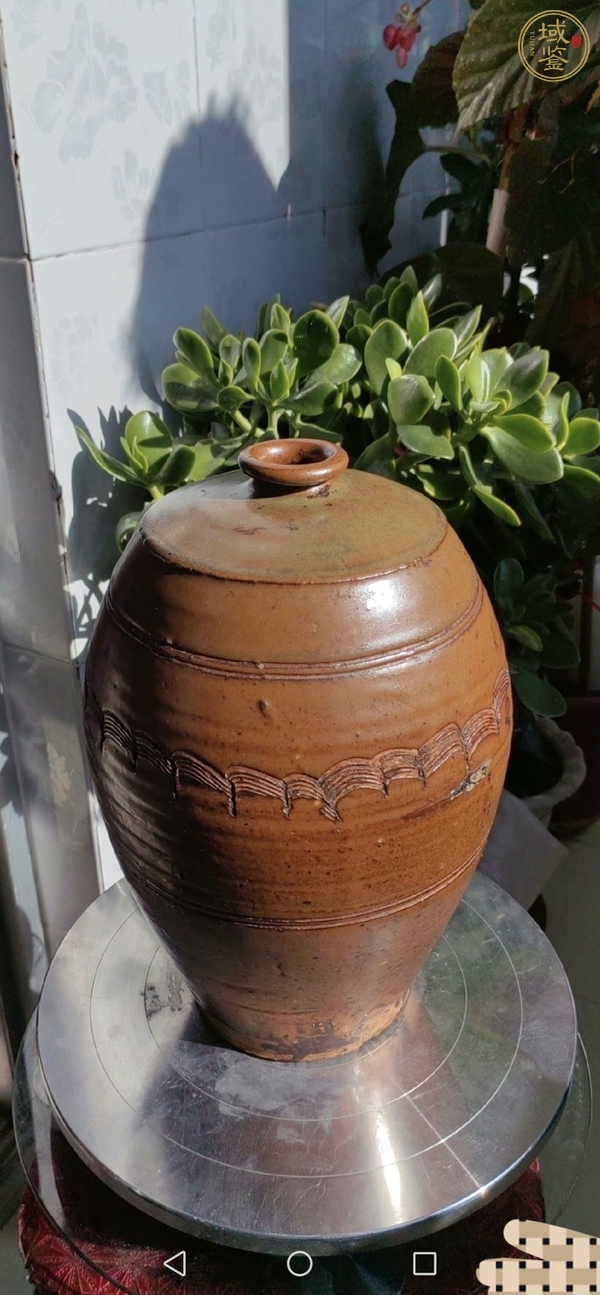 古玩陶瓷褐釉刻水波紋梅瓶真品鑒賞圖