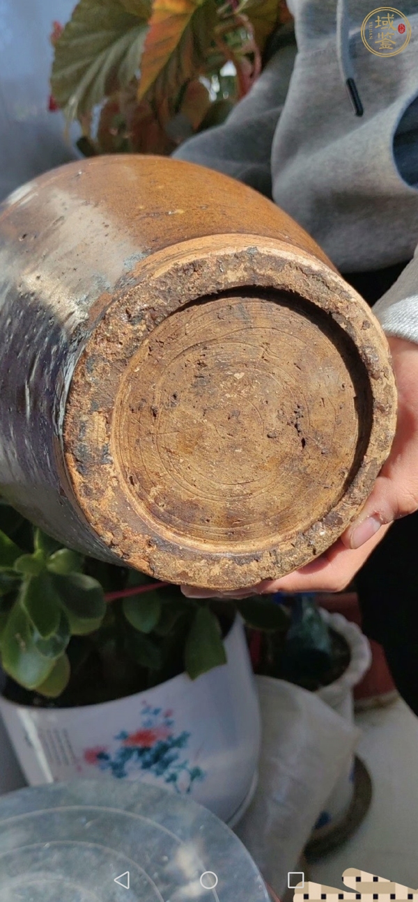 古玩陶瓷褐釉刻水波紋梅瓶真品鑒賞圖