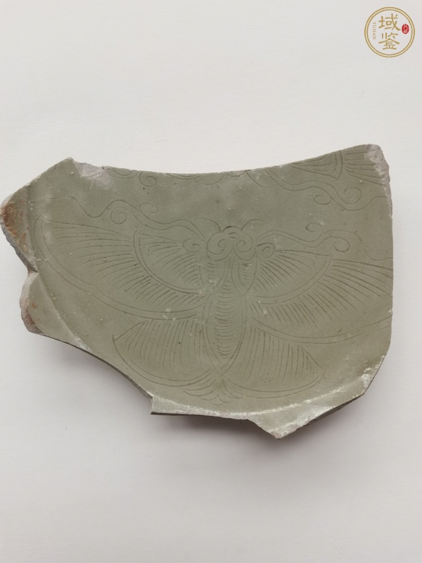 古玩陶瓷越窯青瓷刻蝴蝶紋標本真品鑒賞圖