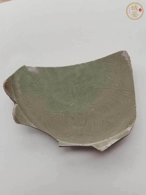 古玩陶瓷越窯青瓷刻蝴蝶紋標本真品鑒賞圖