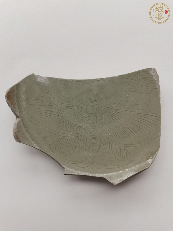古玩陶瓷越窯青瓷刻蝴蝶紋標本真品鑒賞圖