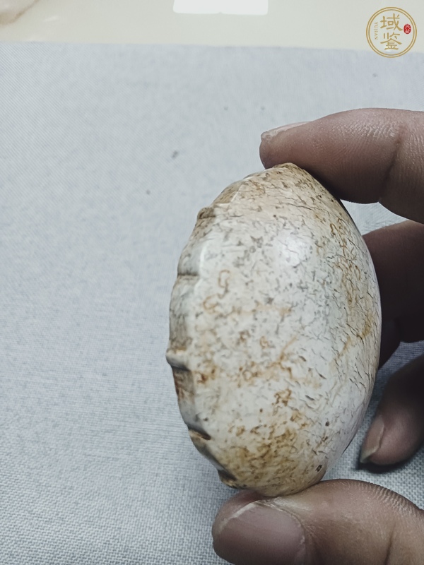 古玩玉器地方玉雕“龍紋牌”真品鑒賞圖