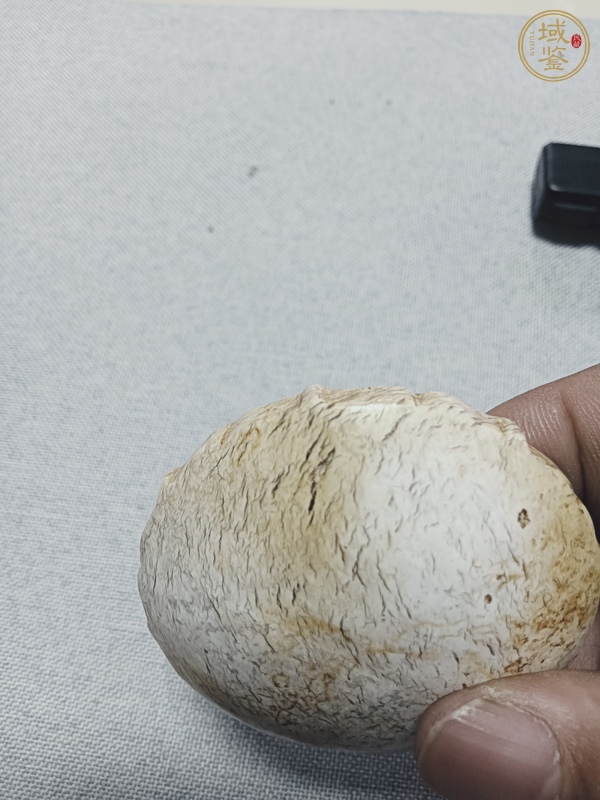古玩玉器地方玉雕“龍紋牌”真品鑒賞圖