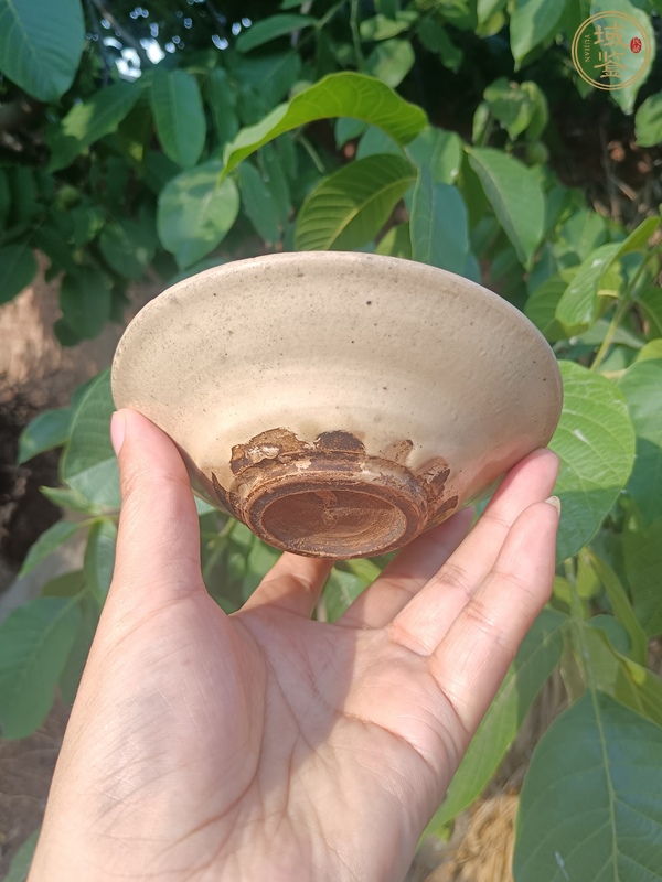古玩陶瓷磁州窯白釉茶盞真品鑒賞圖