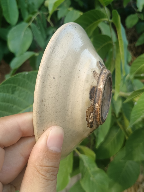古玩陶瓷元末明初~白釉茶盞拍賣,當前價格88元