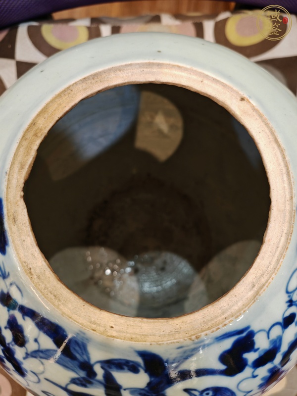 古玩晚清豆青青花冬瓜罐真品鑒賞圖