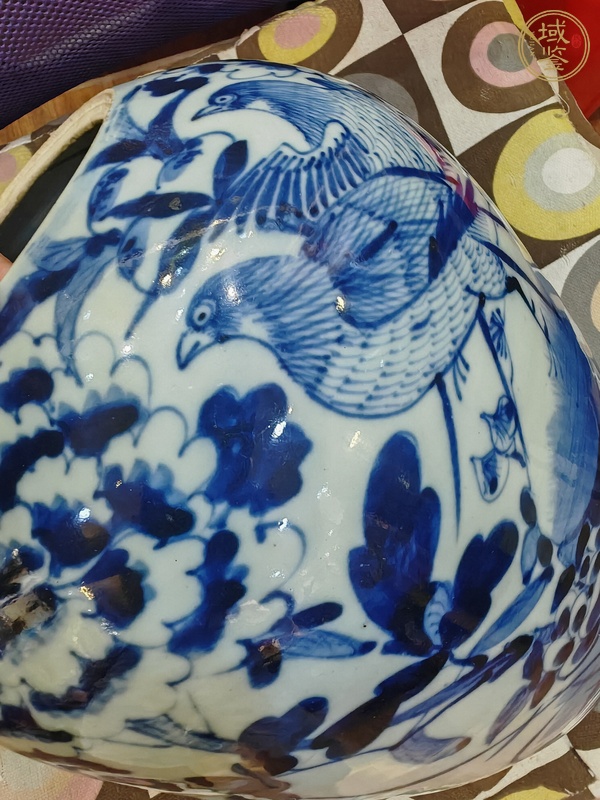 古玩陶瓷晚清豆青青花冬瓜罐真品鑒賞圖